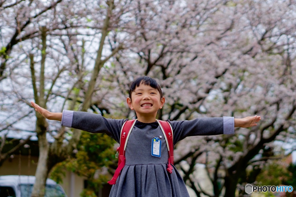 入学おめでとう