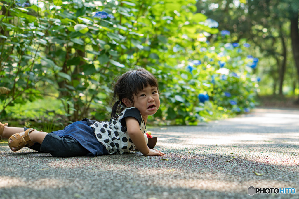 写真撮ってないで助けてよ。。。。