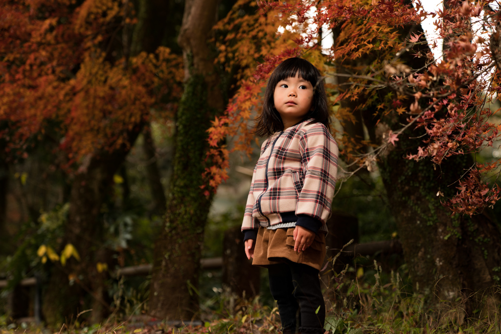 Autumn leaves girl