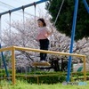 後田川緑道の桜2