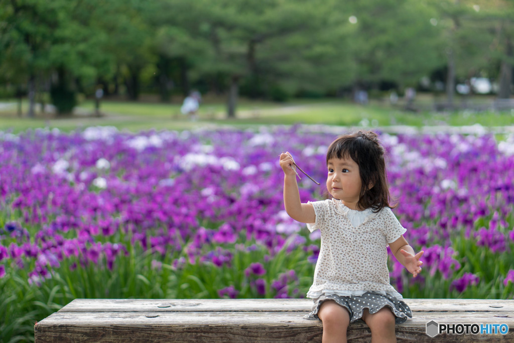 はなしょうぶ