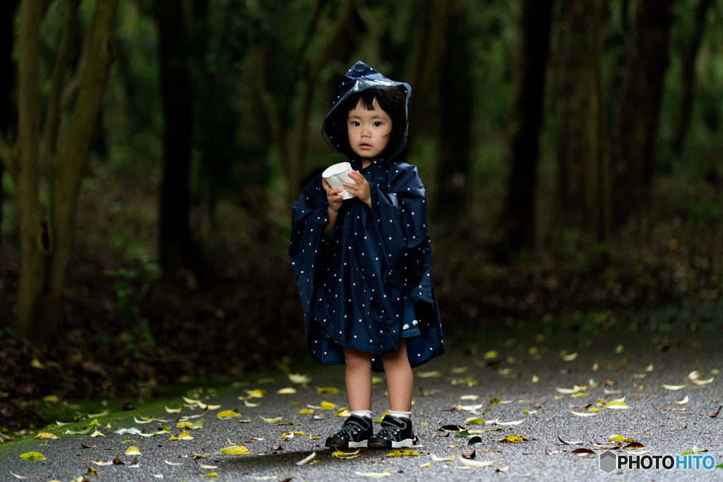 雨上がりに落ち葉を集める妖怪