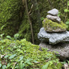 登山道あるある