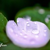 20170408　No Title