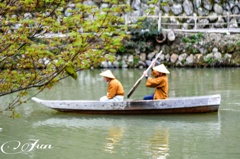 御船山楽園5