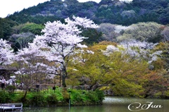 御船山楽園2