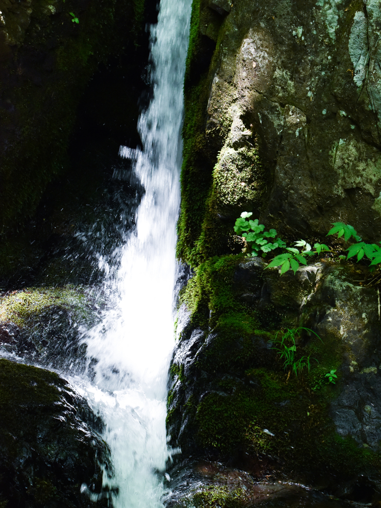 森林の小さな滝-2