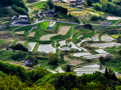 山頂から見える景色(1)