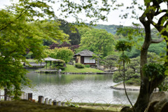 岡山後楽園