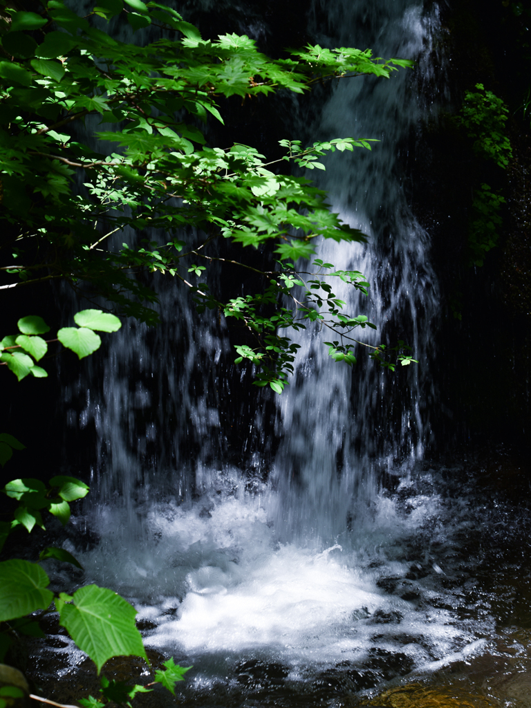 滝-5