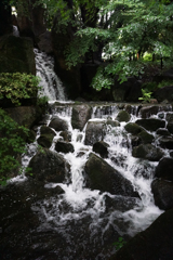 徳川園の滝