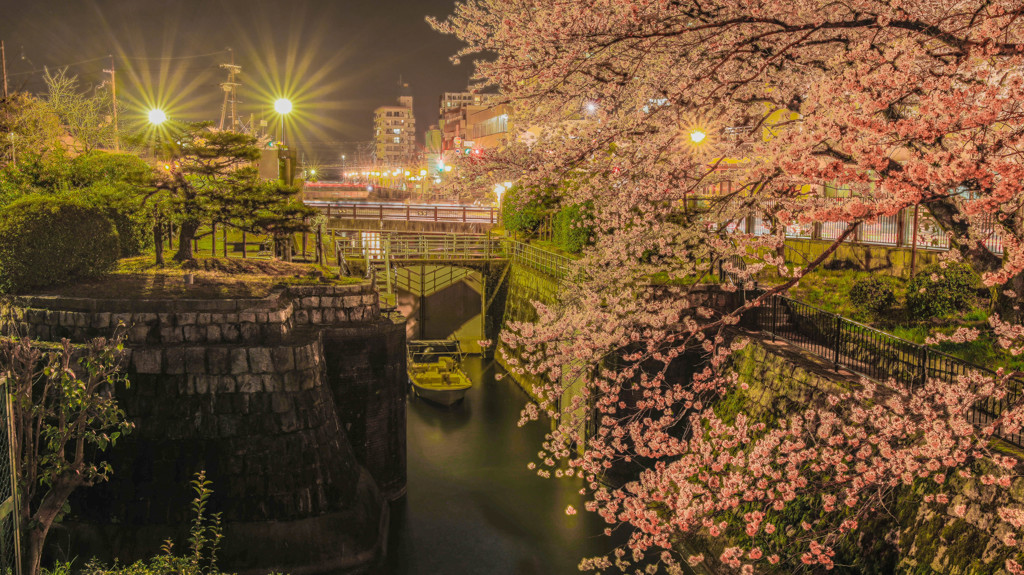 2017年4月9日　疎水と桜