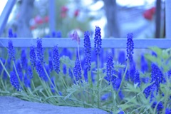 散歩