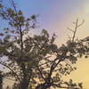 夕ぐれ