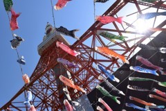 H２９．５．５東京タワー①