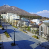 八幡坂の風景