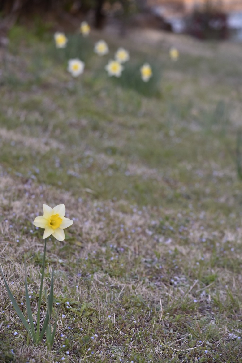 仲間から外れても強く