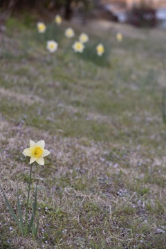 仲間から外れても強く