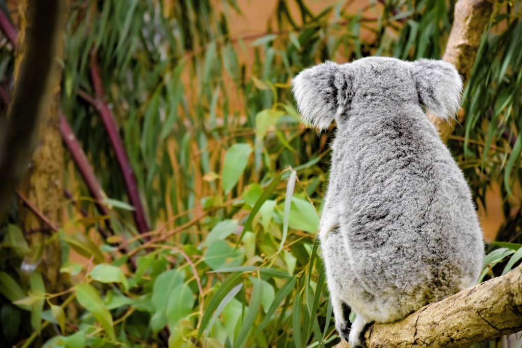 春の日を浴びて