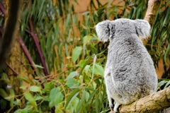 春の日を浴びて