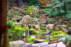 特別名勝 都立庭園 「六義園」