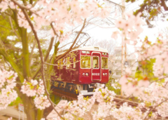 阪急電車と桜のトンネル