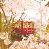 阪急電車と桜のトンネル