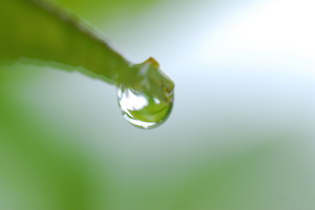 _DSC0083