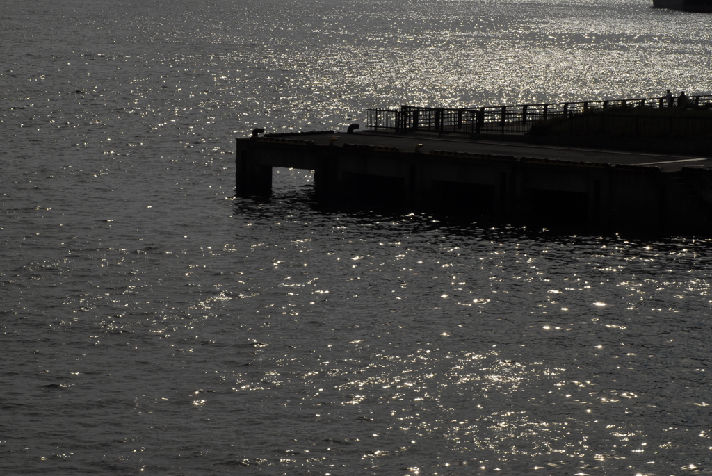 _DSC0177