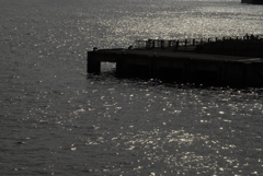 _DSC0177