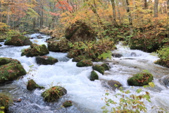 奥入瀬渓流