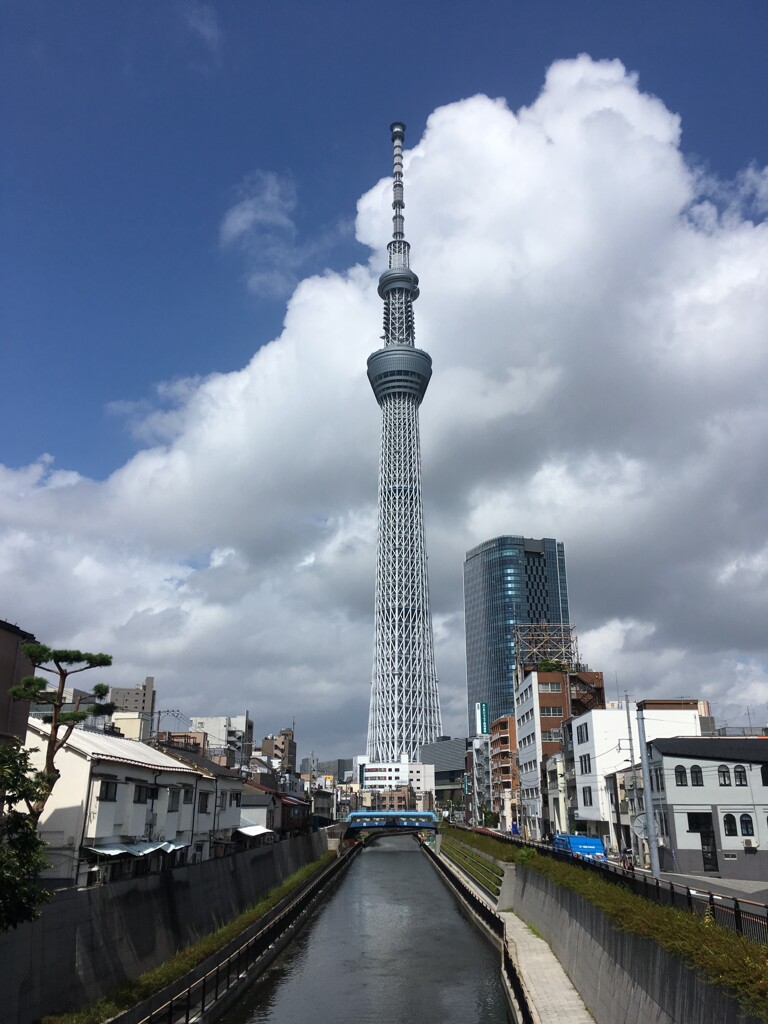 TOKYO SKY TREE
