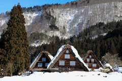 白川郷合掌造り