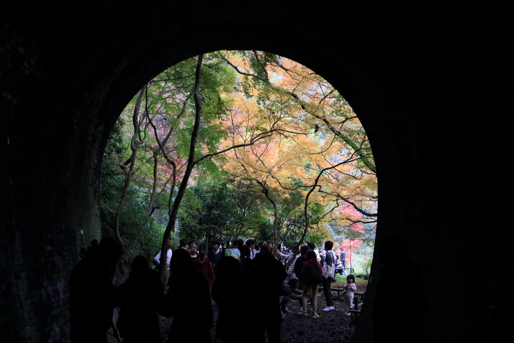 トンネルを抜けると・・・