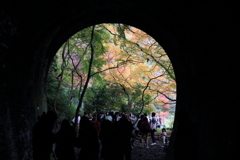 トンネルを抜けると・・・