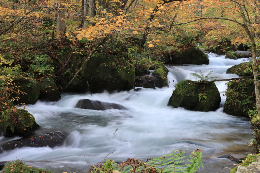 奥入瀬渓流②