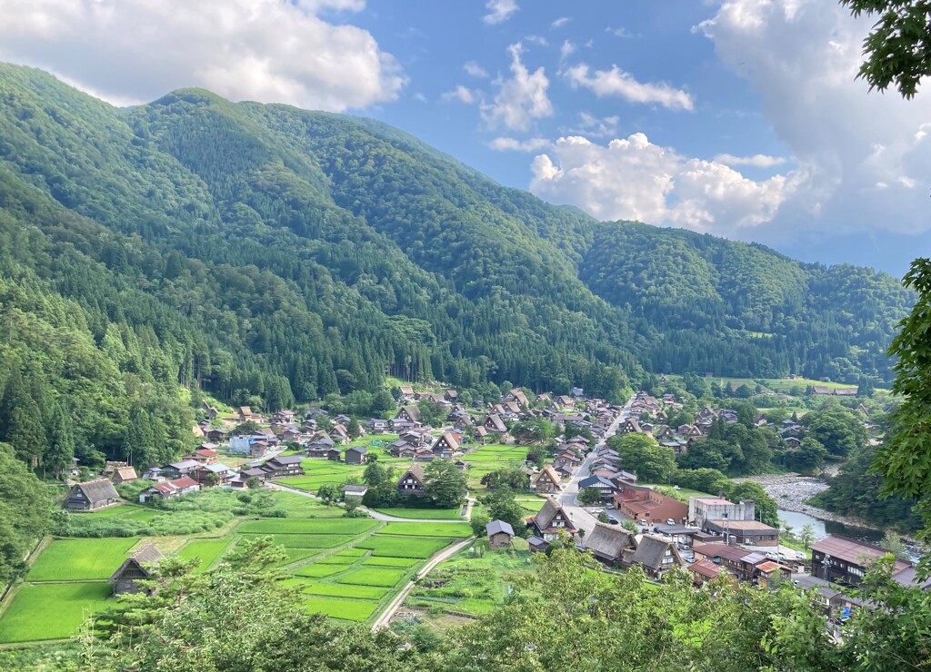 夏の白川郷