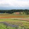 富士見高原リゾート③