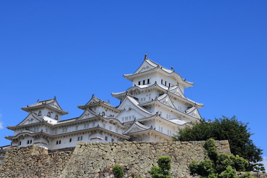 姫路城2017