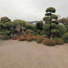 西郷恵一郎氏庭園