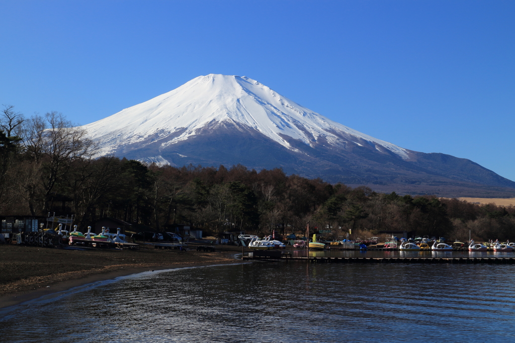 山中湖からの富士山