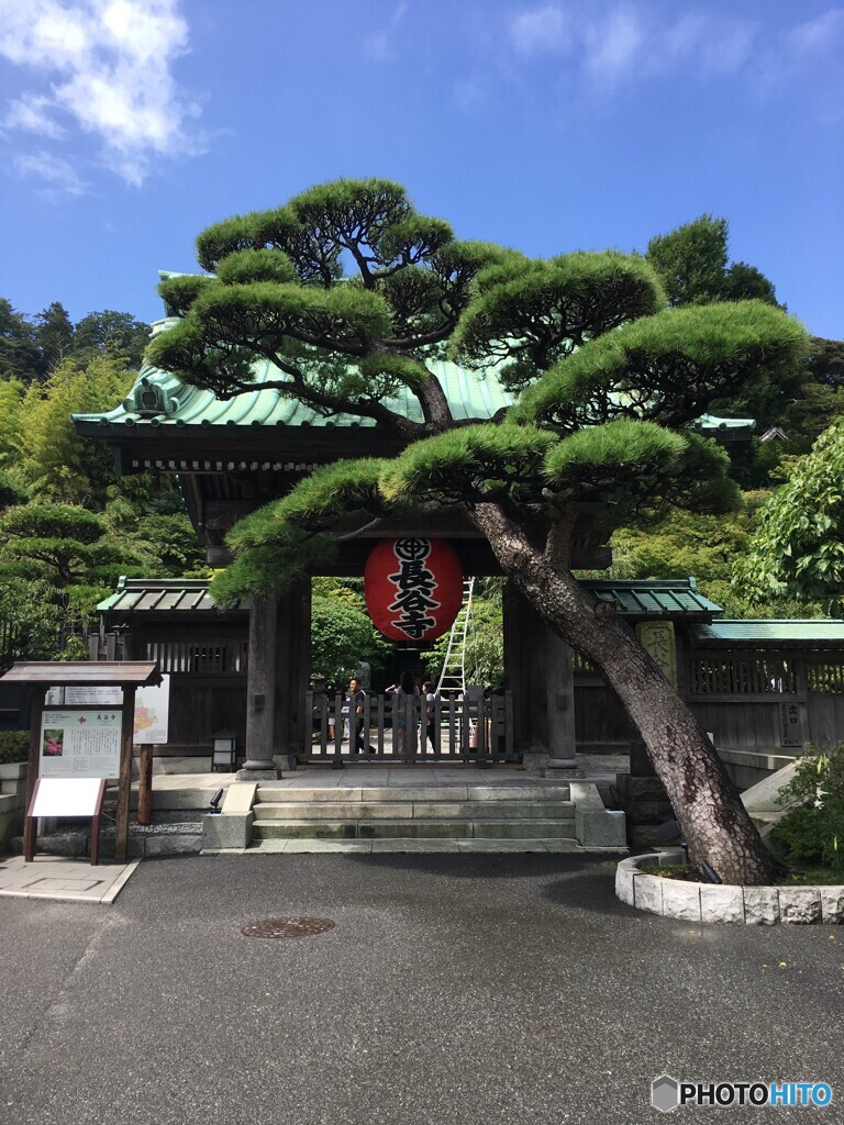 長谷寺