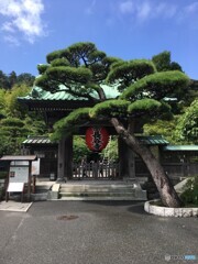 長谷寺