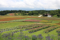 富士見高原リゾート④