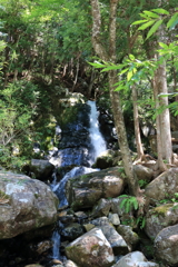 阿寺渓谷・六段の滝