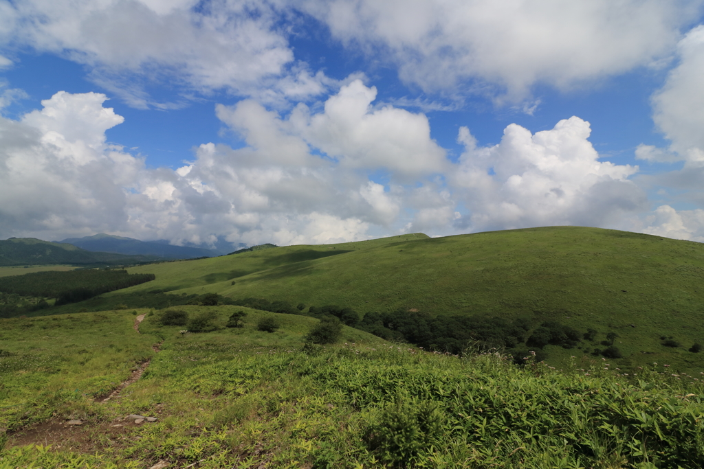 ビーナスライン④