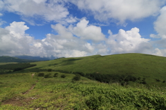 ビーナスライン④