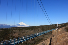 三島スカイウォーク