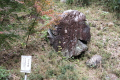 ゴリラ岩