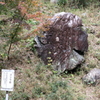 ゴリラ岩